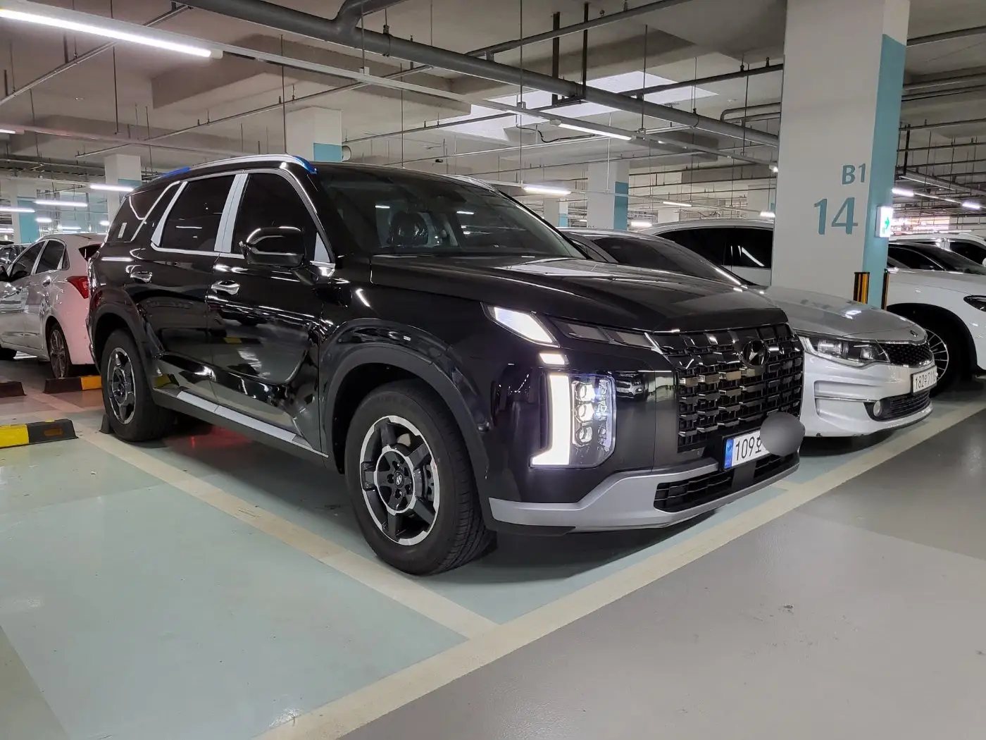 팰리세이드 주차장에 주차해두고 한장