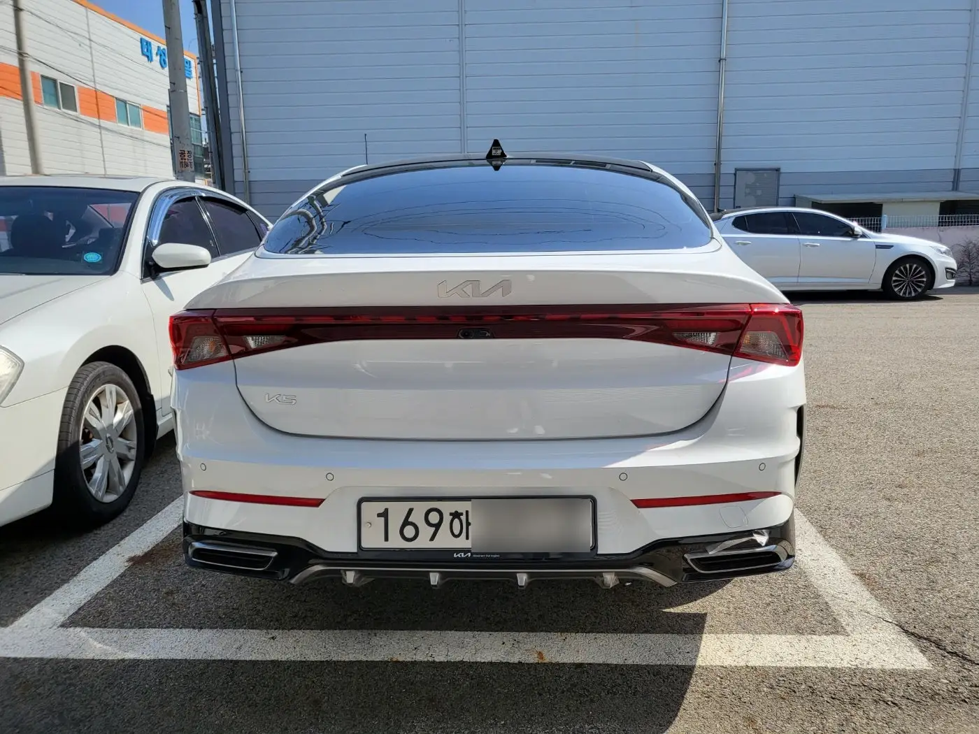 K5신차렌트 후면