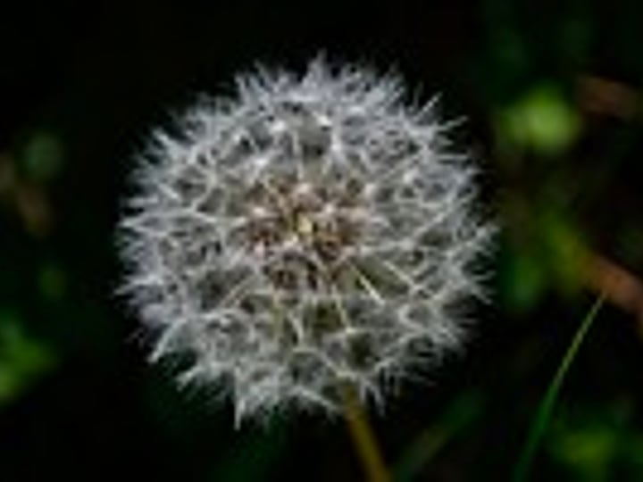 그랜저 신형 스펙, 디자인 변화, 외관, 라인, 그릴 디테일.